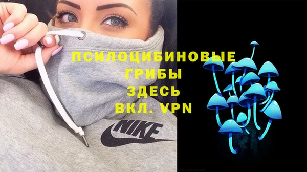прущая мука Алзамай