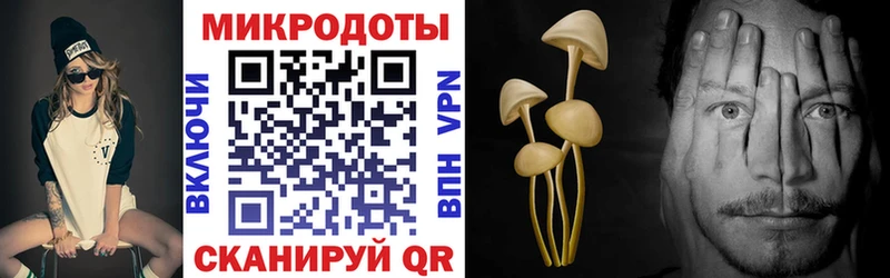 Галлюциногенные грибы мицелий Полевской